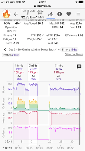 Intervals.icu